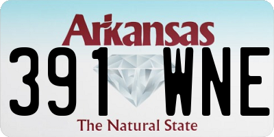AR license plate 391WNE