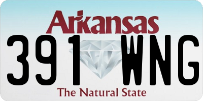 AR license plate 391WNG