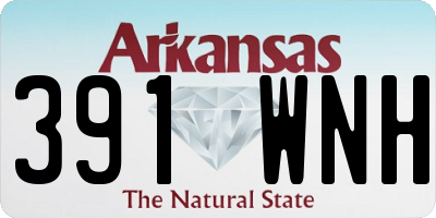 AR license plate 391WNH