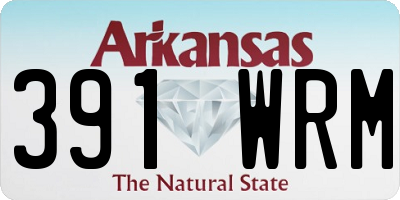 AR license plate 391WRM