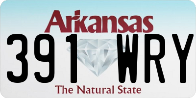 AR license plate 391WRY