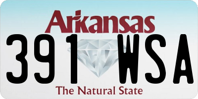 AR license plate 391WSA
