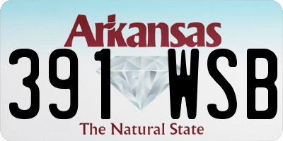 AR license plate 391WSB