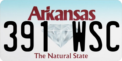 AR license plate 391WSC