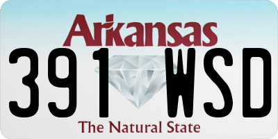 AR license plate 391WSD