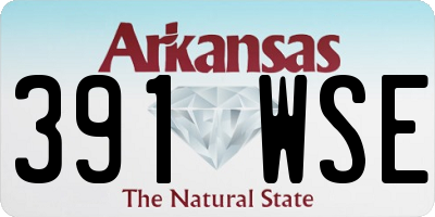 AR license plate 391WSE