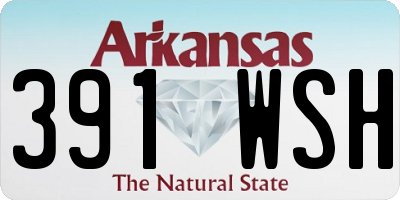 AR license plate 391WSH