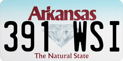 AR license plate 391WSI
