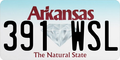 AR license plate 391WSL