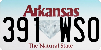 AR license plate 391WSO