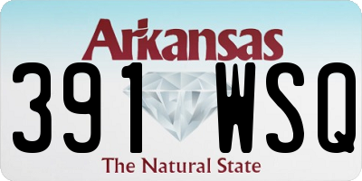 AR license plate 391WSQ