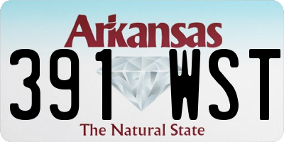 AR license plate 391WST