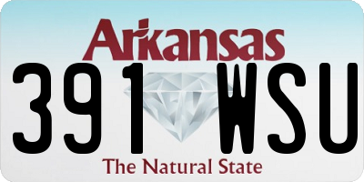 AR license plate 391WSU