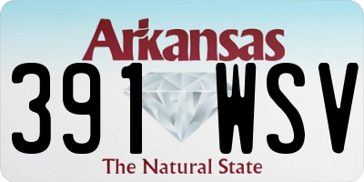 AR license plate 391WSV