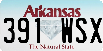 AR license plate 391WSX