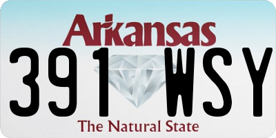 AR license plate 391WSY