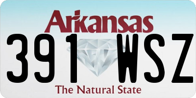 AR license plate 391WSZ