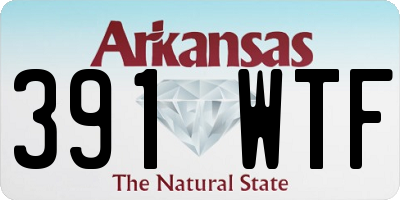 AR license plate 391WTF