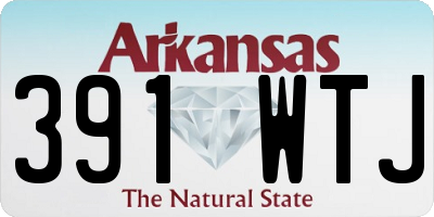 AR license plate 391WTJ