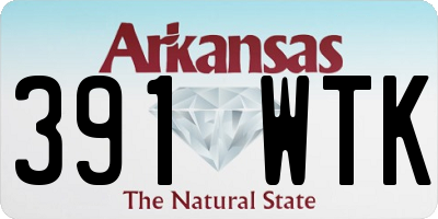 AR license plate 391WTK