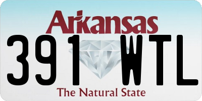 AR license plate 391WTL