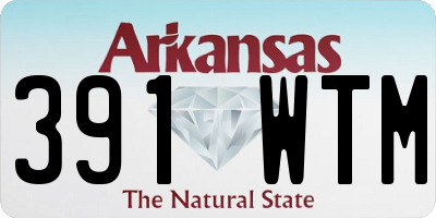 AR license plate 391WTM