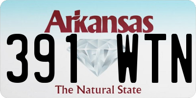 AR license plate 391WTN