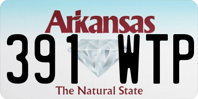 AR license plate 391WTP