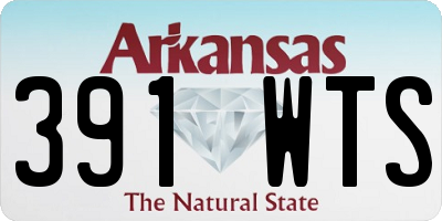 AR license plate 391WTS