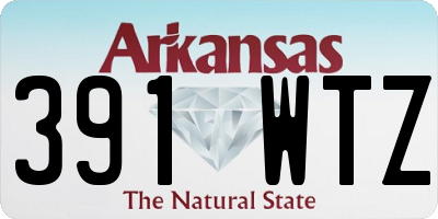 AR license plate 391WTZ