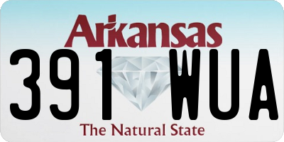 AR license plate 391WUA