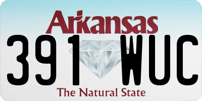 AR license plate 391WUC