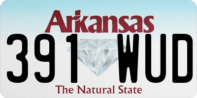 AR license plate 391WUD