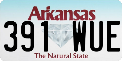 AR license plate 391WUE
