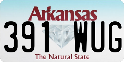 AR license plate 391WUG