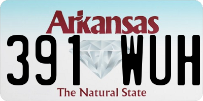 AR license plate 391WUH