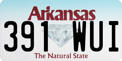 AR license plate 391WUI