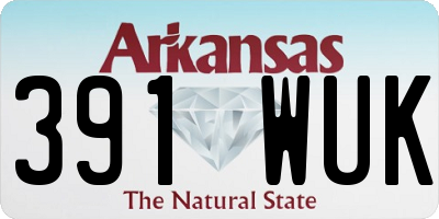 AR license plate 391WUK