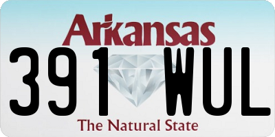 AR license plate 391WUL