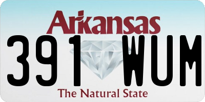 AR license plate 391WUM