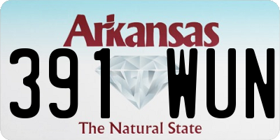 AR license plate 391WUN