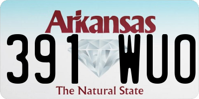 AR license plate 391WUO