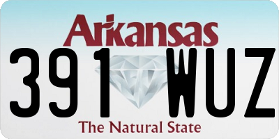 AR license plate 391WUZ