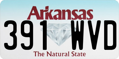 AR license plate 391WVD