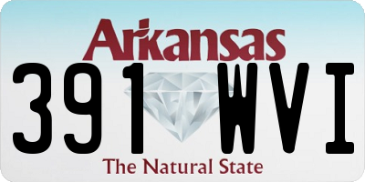 AR license plate 391WVI