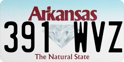 AR license plate 391WVZ