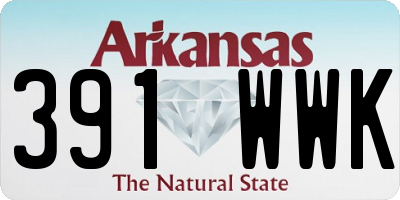 AR license plate 391WWK