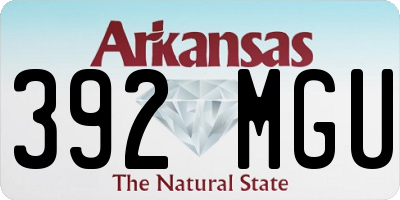 AR license plate 392MGU
