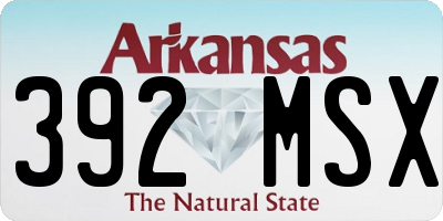 AR license plate 392MSX