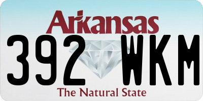 AR license plate 392WKM